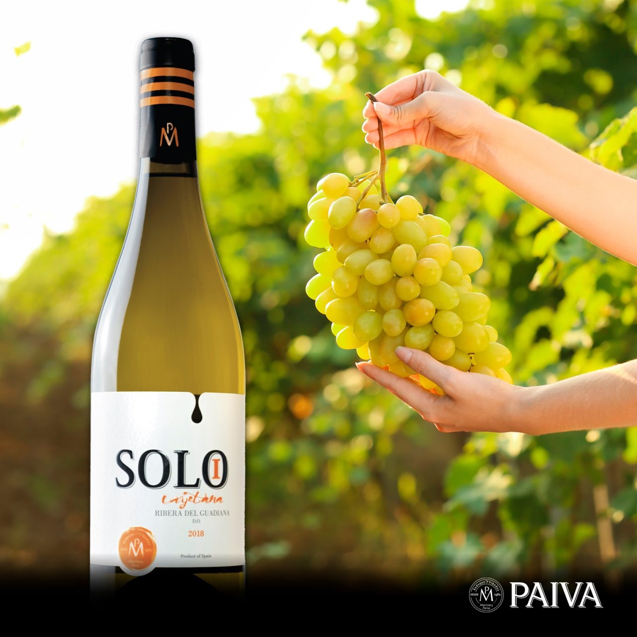 PAIVA 法瓦 莊園 SOLO I 白葡萄酒2023 